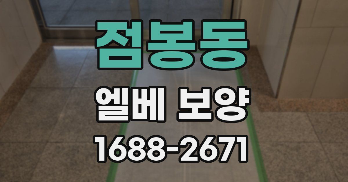 점봉동 엘베 보양