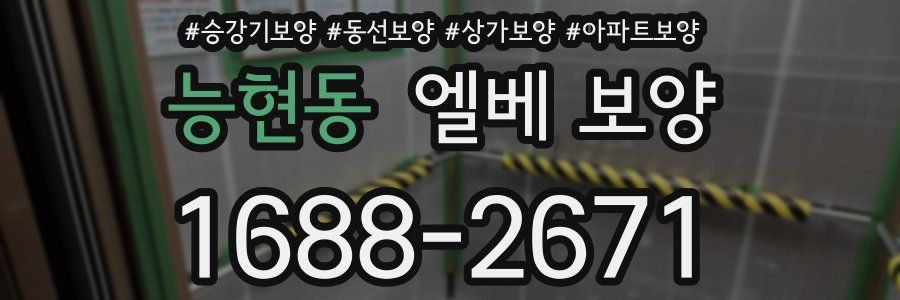 능현동 엘베 보양