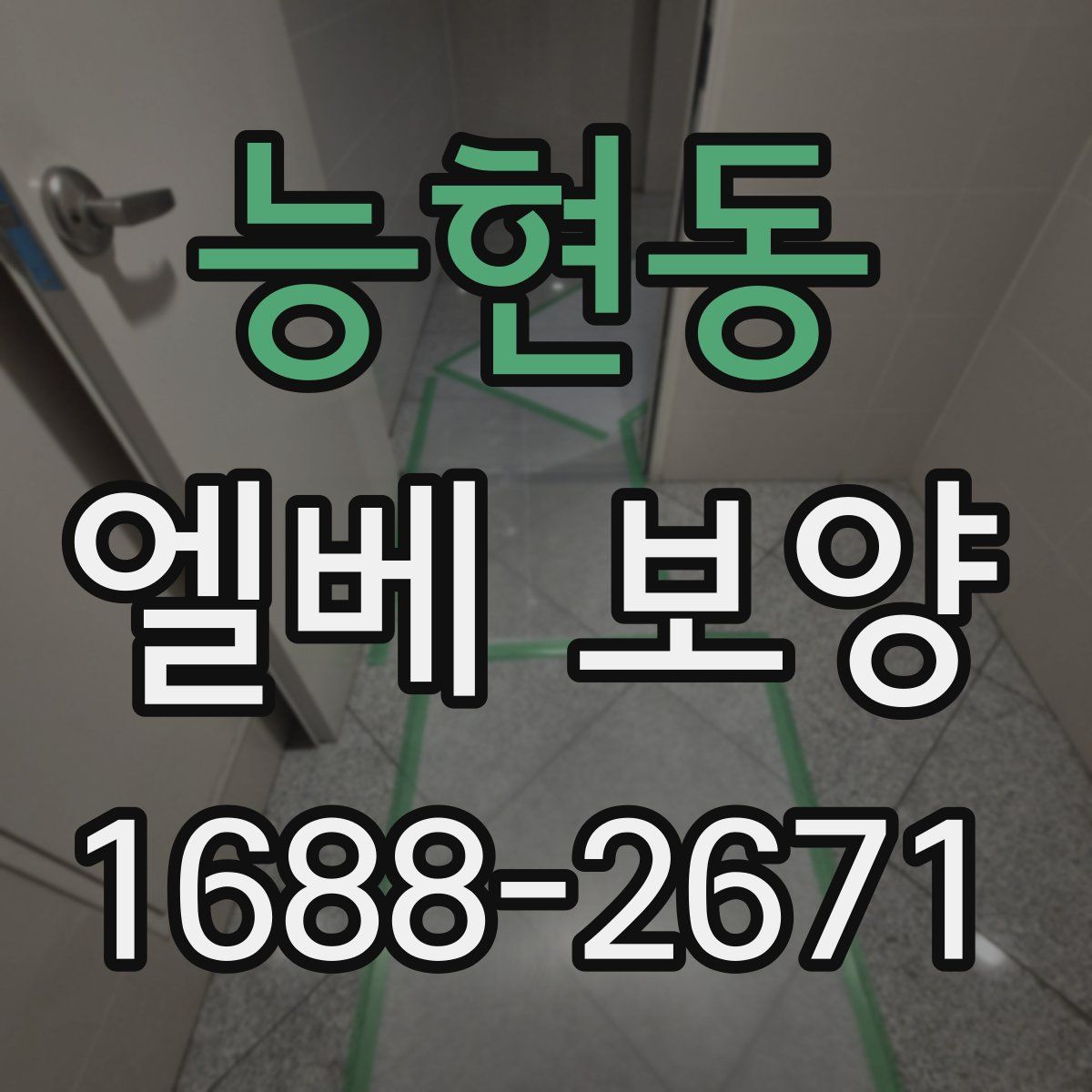 능현동 엘베 보양