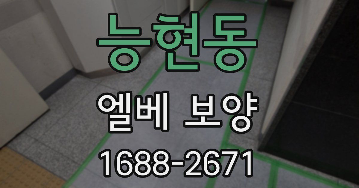 능현동 엘베 보양