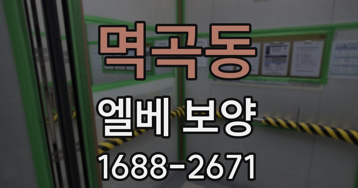 멱곡동 엘베 보양