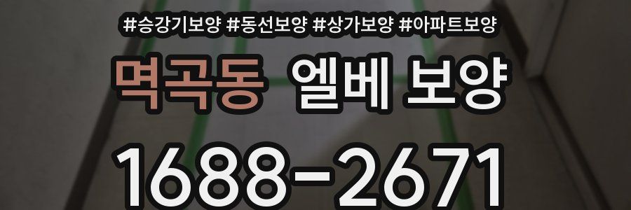 멱곡동 엘베 보양
