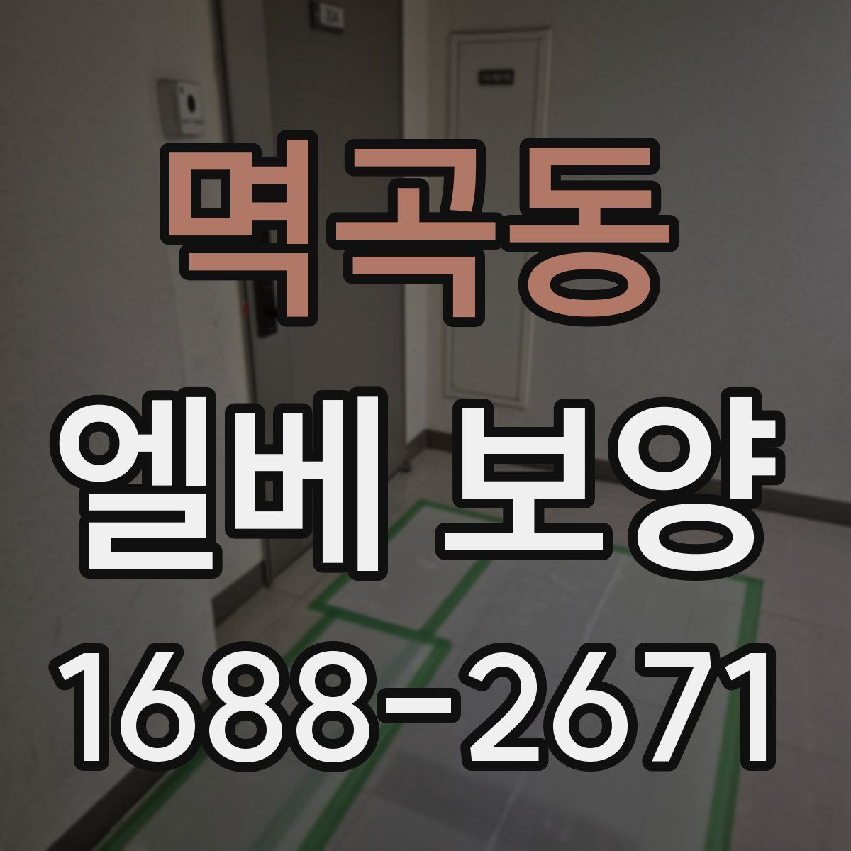 멱곡동 엘베 보양