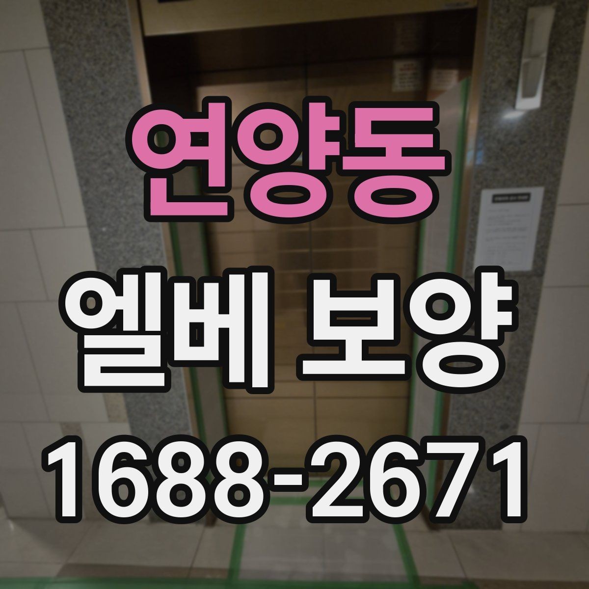 연양동 엘베 보양 공사 전후 꼭 챙길 구역 정리