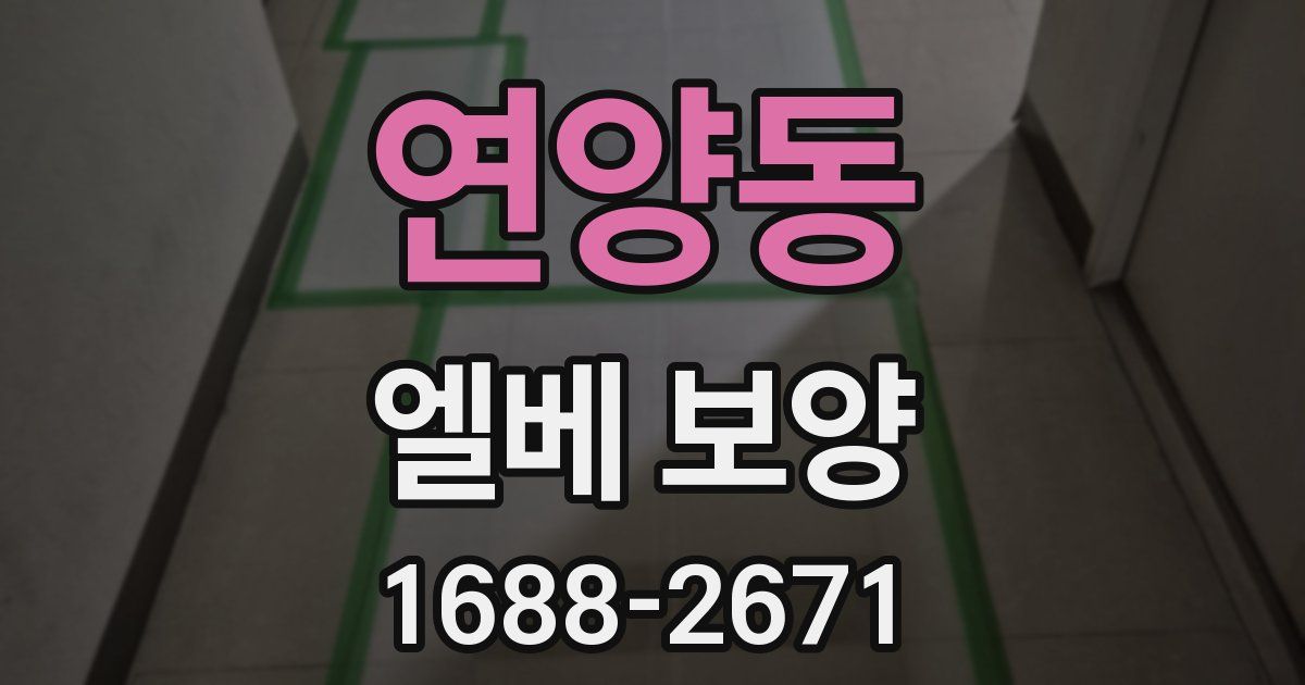연양동 엘베 보양