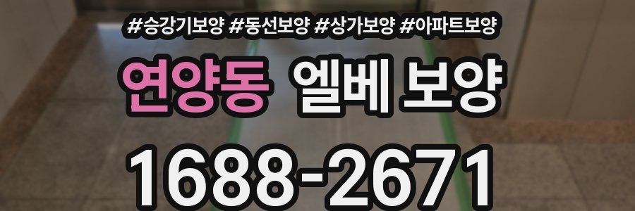 연양동 엘베 보양