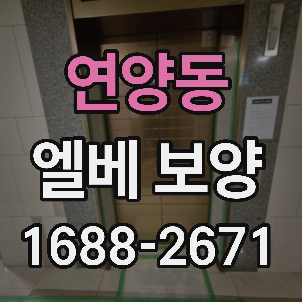 연양동 엘베 보양