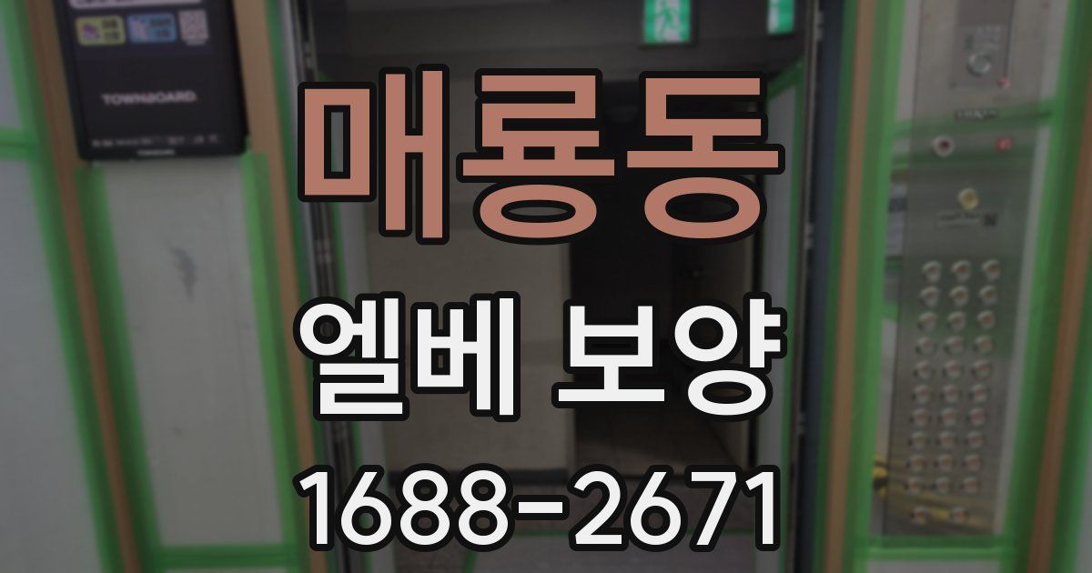 매룡동 엘베 보양