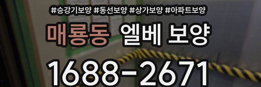 매룡동 엘베 보양