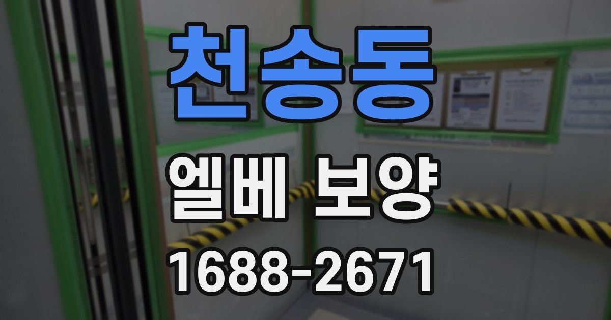 천송동 엘베 보양