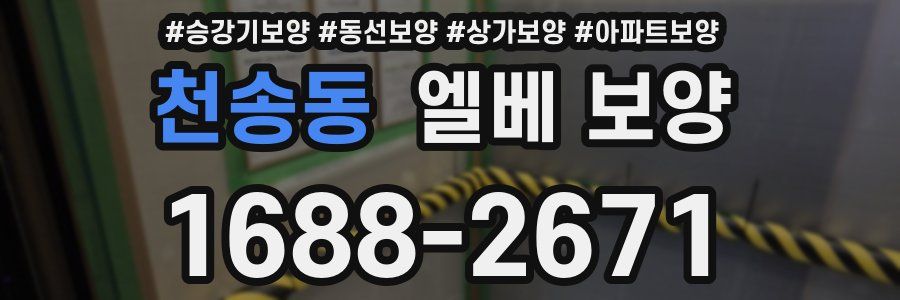 천송동 엘베 보양