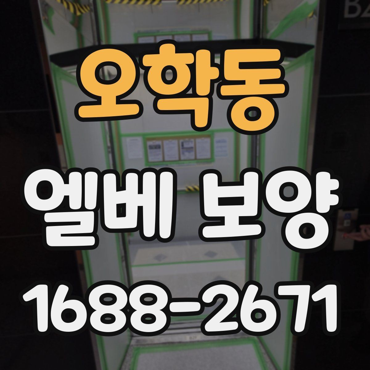 오학동 엘베 보양 현장별 보호 수준을 나누는 실무 기준