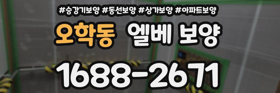 오학동 엘베 보양