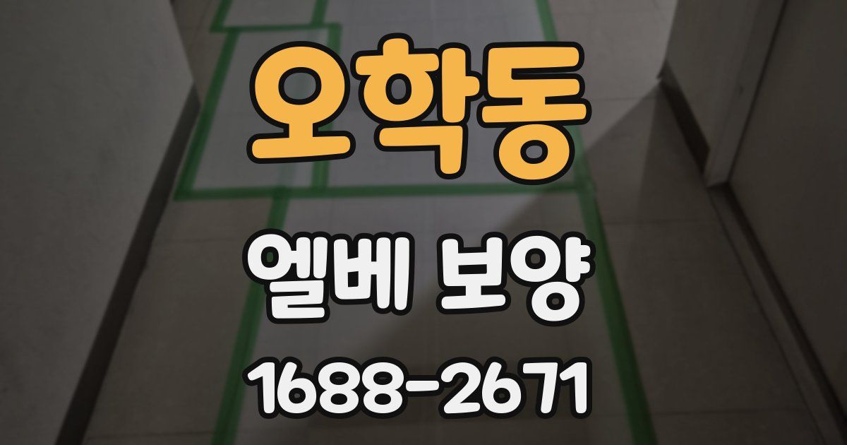 오학동 엘베 보양