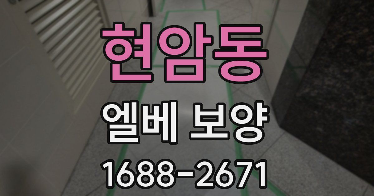 현암동 엘베 보양