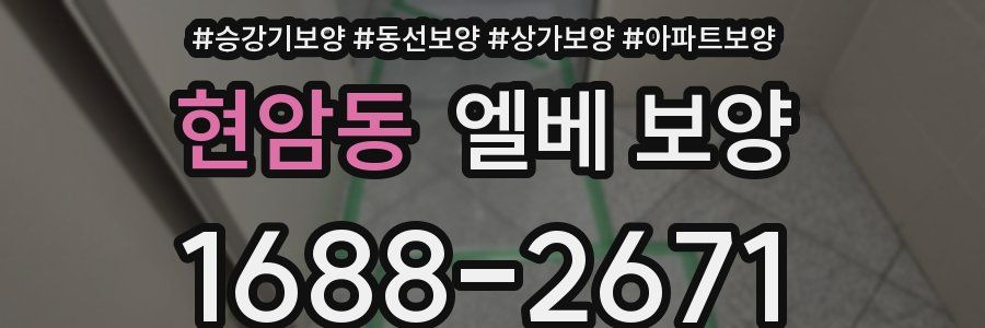현암동 엘베 보양