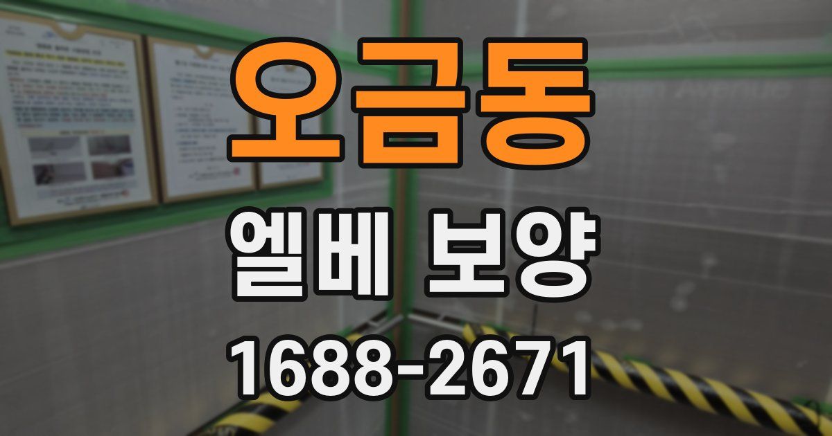 오금동 엘베 보양