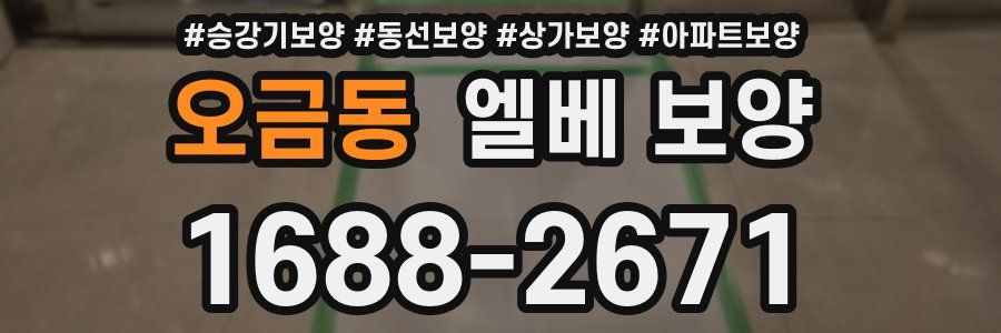 오금동 엘베 보양