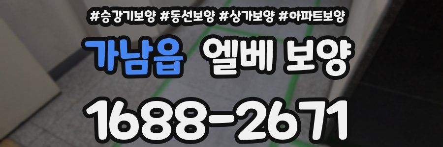 가남읍 엘베 보양
