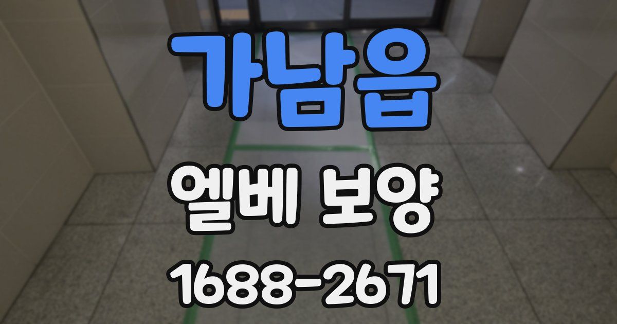 가남읍 엘베 보양