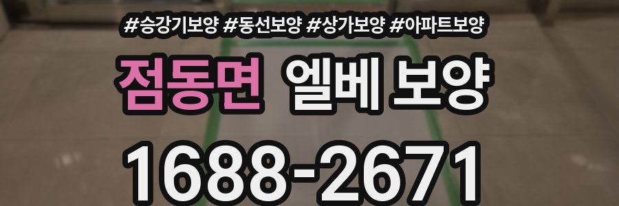 점동면 엘베 보양