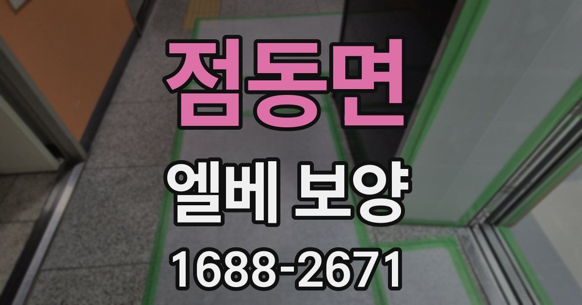 점동면 엘베 보양