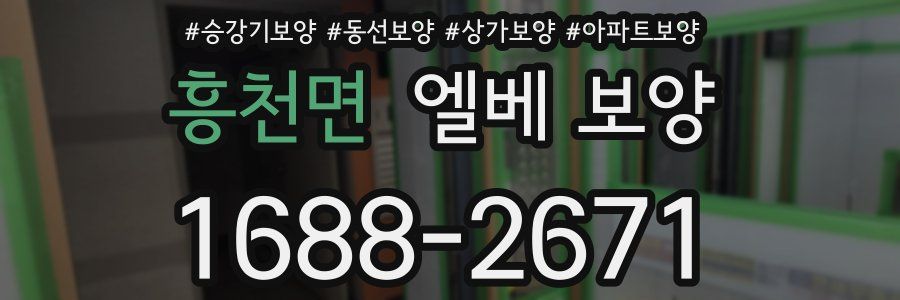 흥천면 엘베 보양