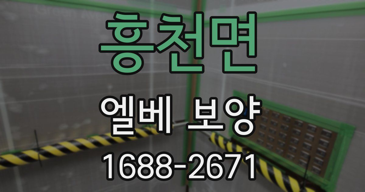 흥천면 엘베 보양