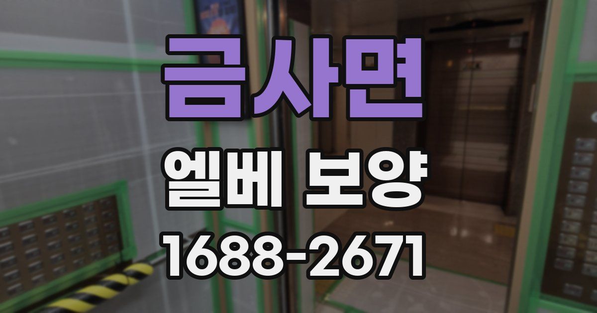 금사면 엘베 보양