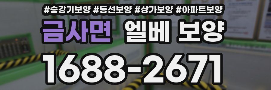금사면 엘베 보양