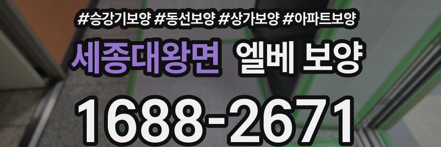 세종대왕면 엘베 보양