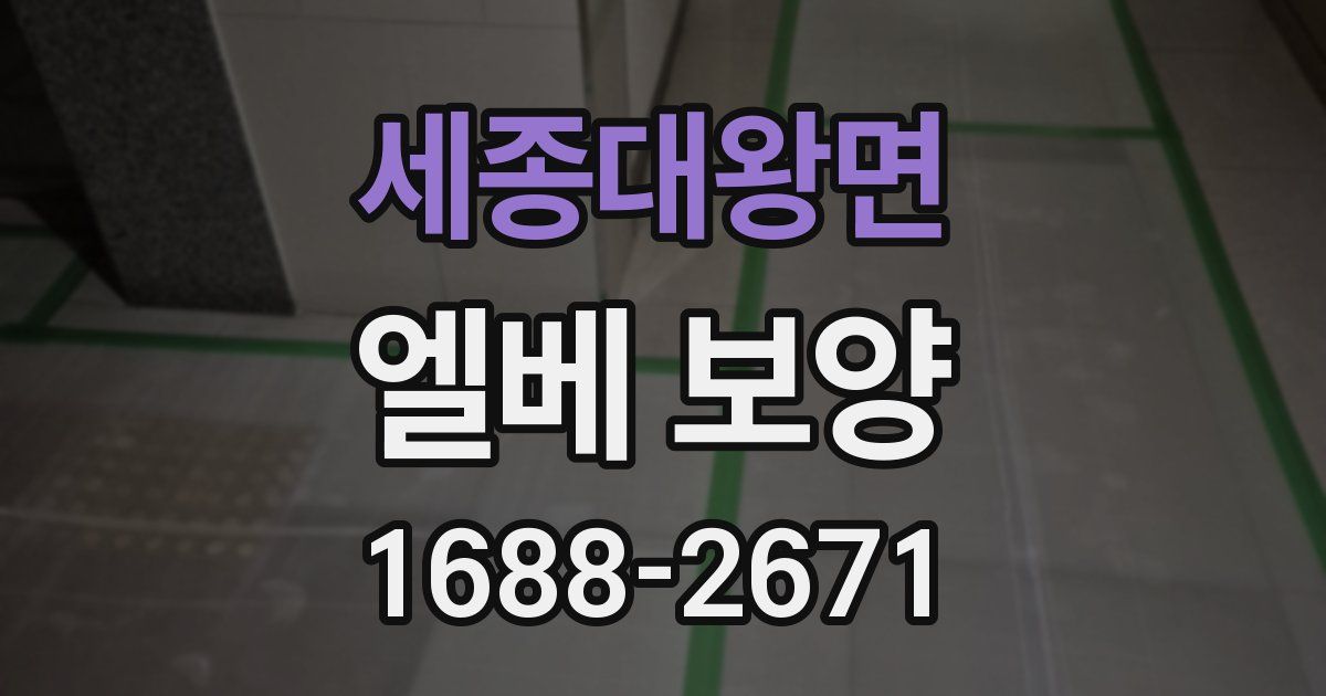 세종대왕면 엘베 보양