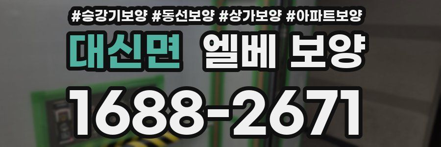 대신면 엘베 보양