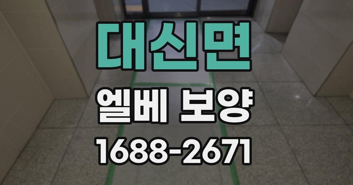 대신면 엘베 보양