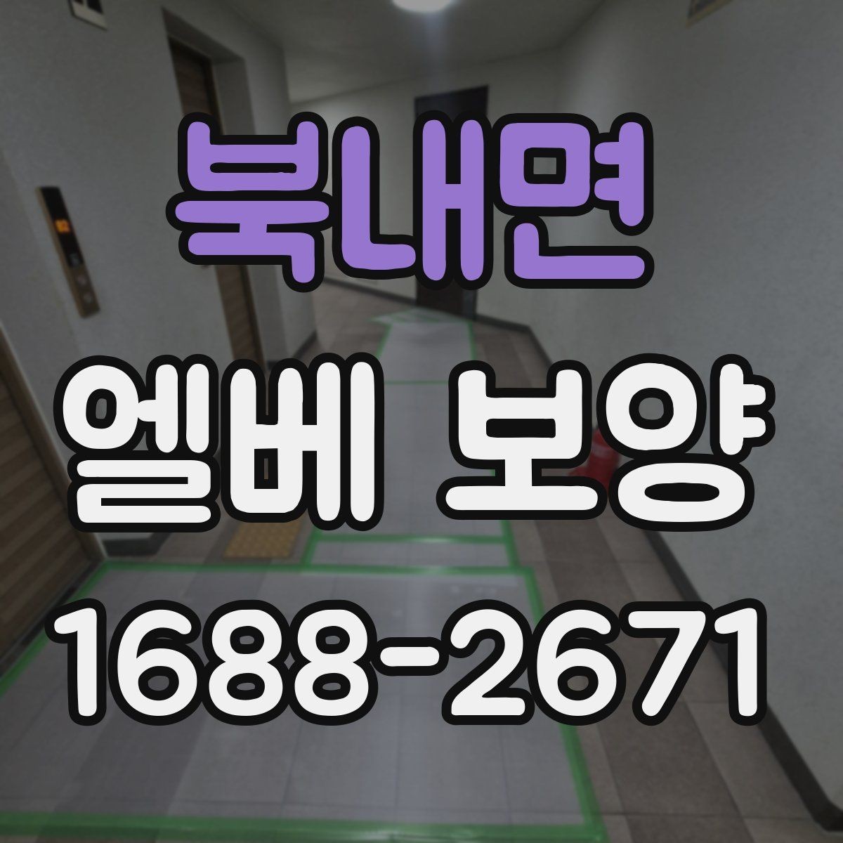 북내면 엘베 보양 바닥과 벽면을 함께 관리하는 작업 기준