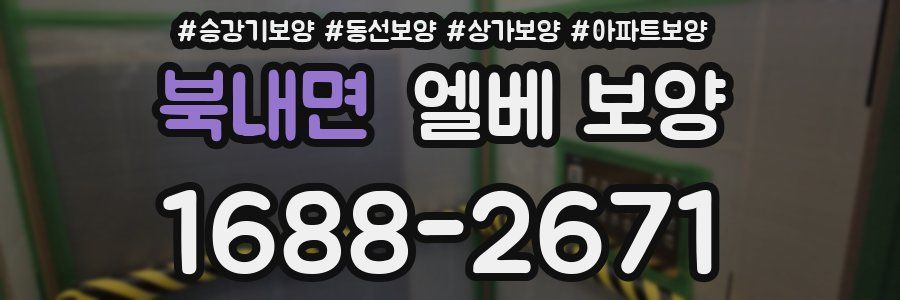 북내면 엘베 보양