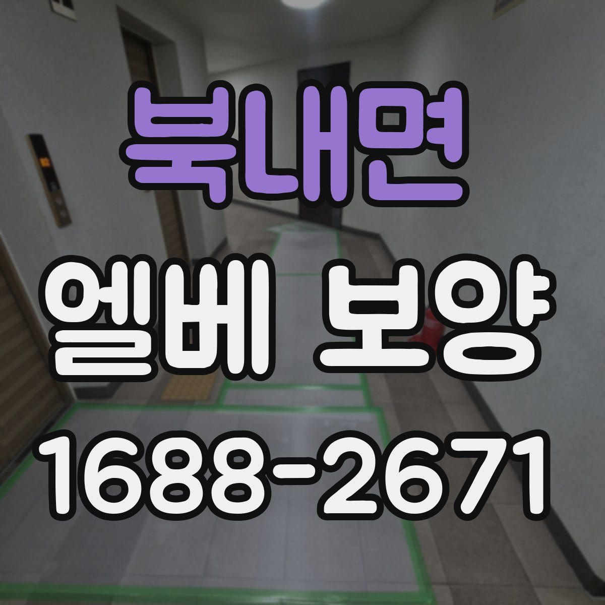 북내면 엘베 보양