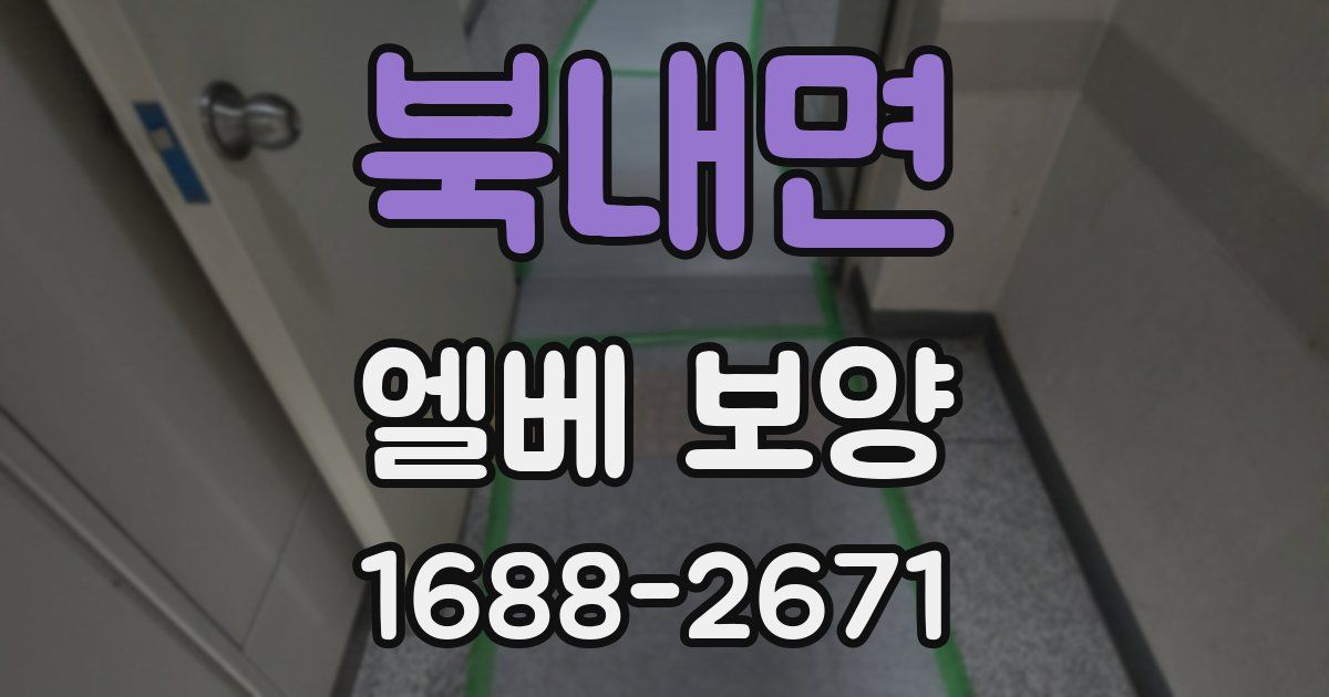 북내면 엘베 보양