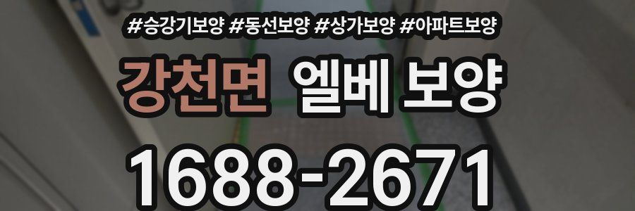 강천면 엘베 보양