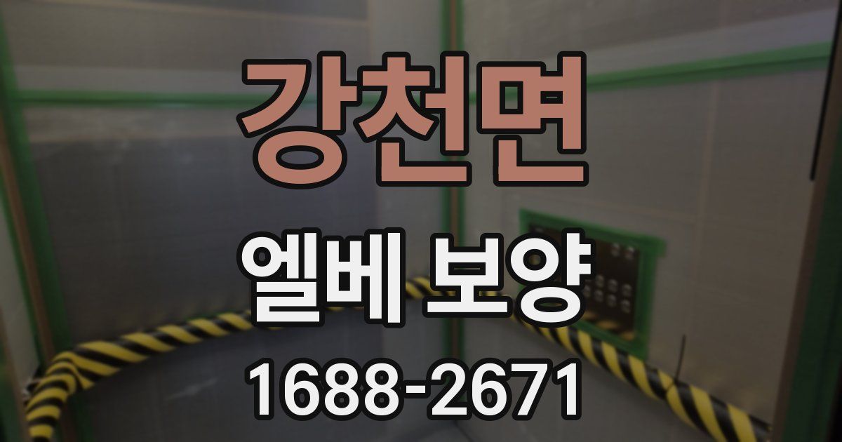 강천면 엘베 보양