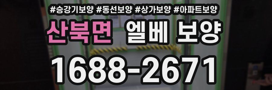 산북면 엘베 보양