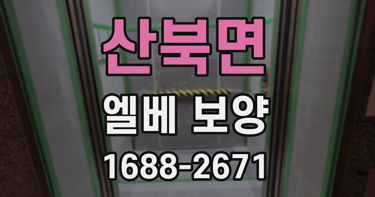 산북면 엘베 보양