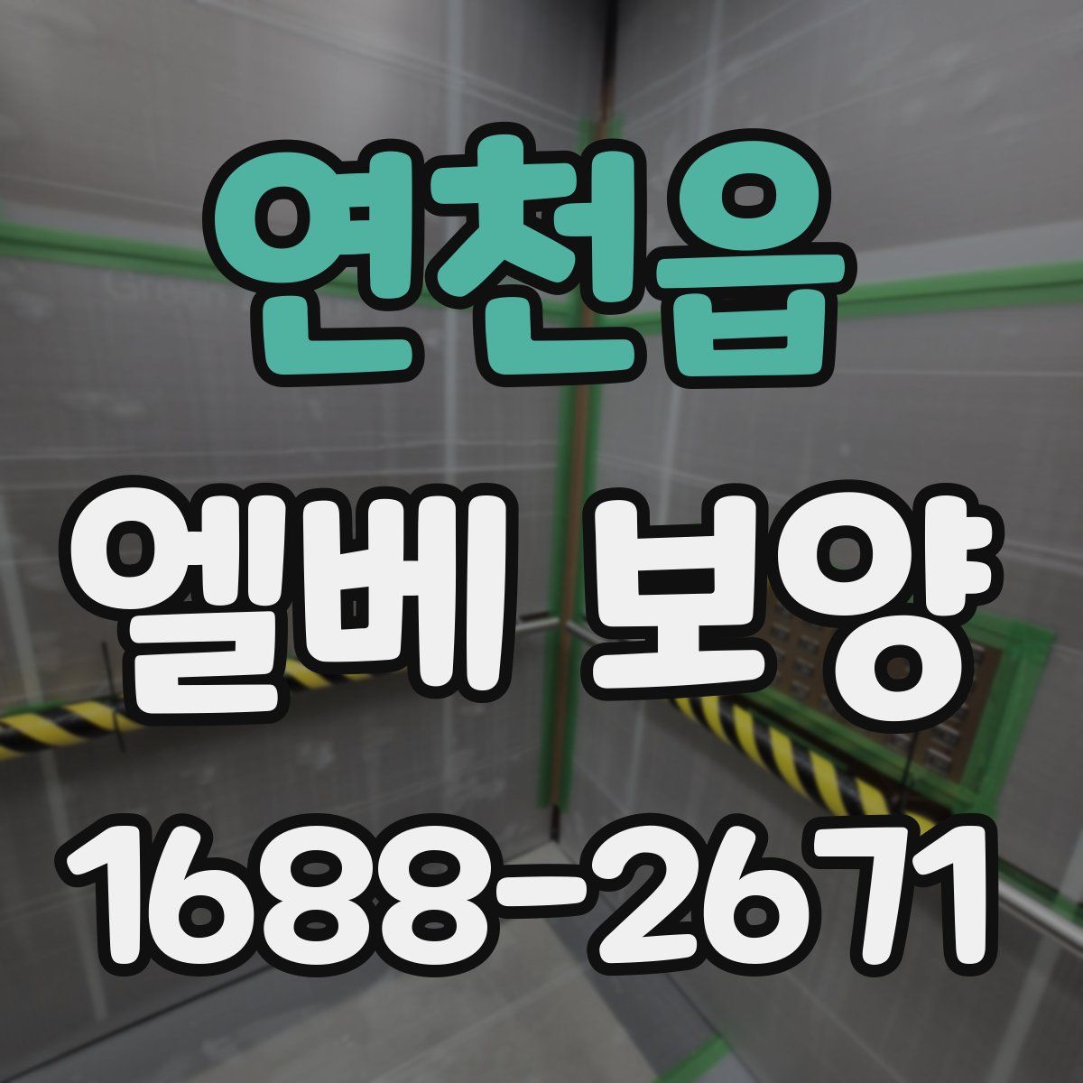 연천읍 엘베 보양