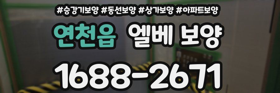 연천읍 엘베 보양