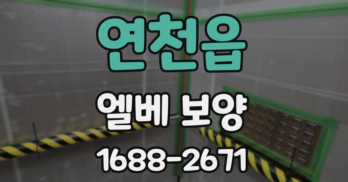 연천읍 엘베 보양