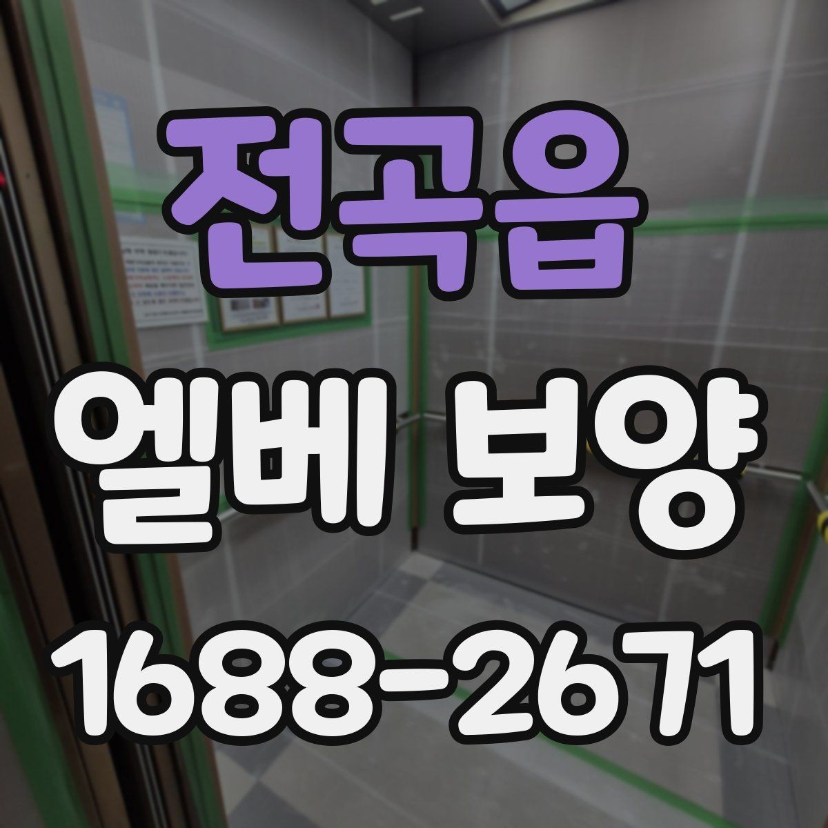 전곡읍 엘베 보양 이삿짐 이동 구간별 보호 범위