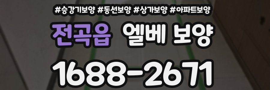 전곡읍 엘베 보양