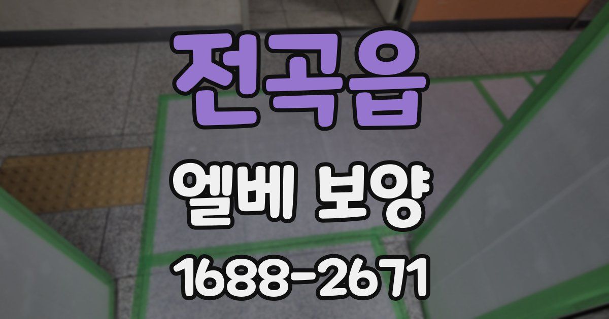 전곡읍 엘베 보양