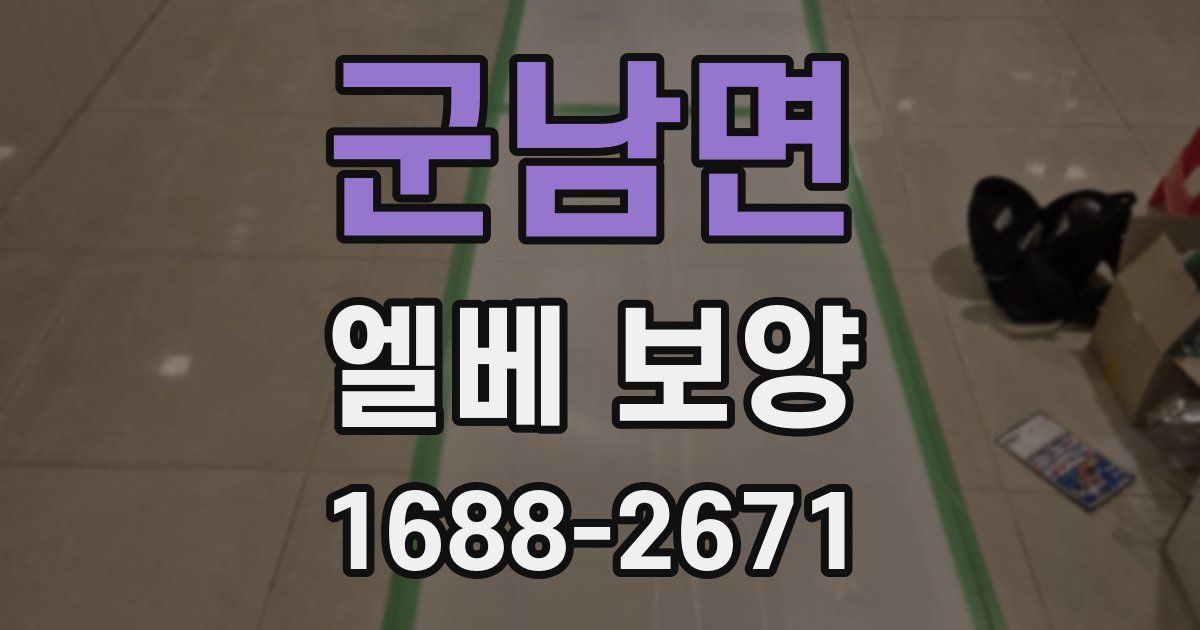 군남면 엘베 보양