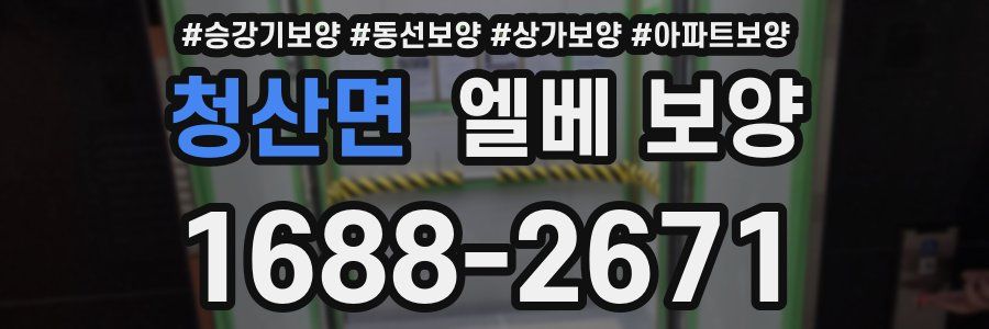 청산면 엘베 보양